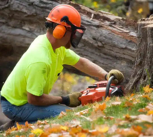 tree services Windham